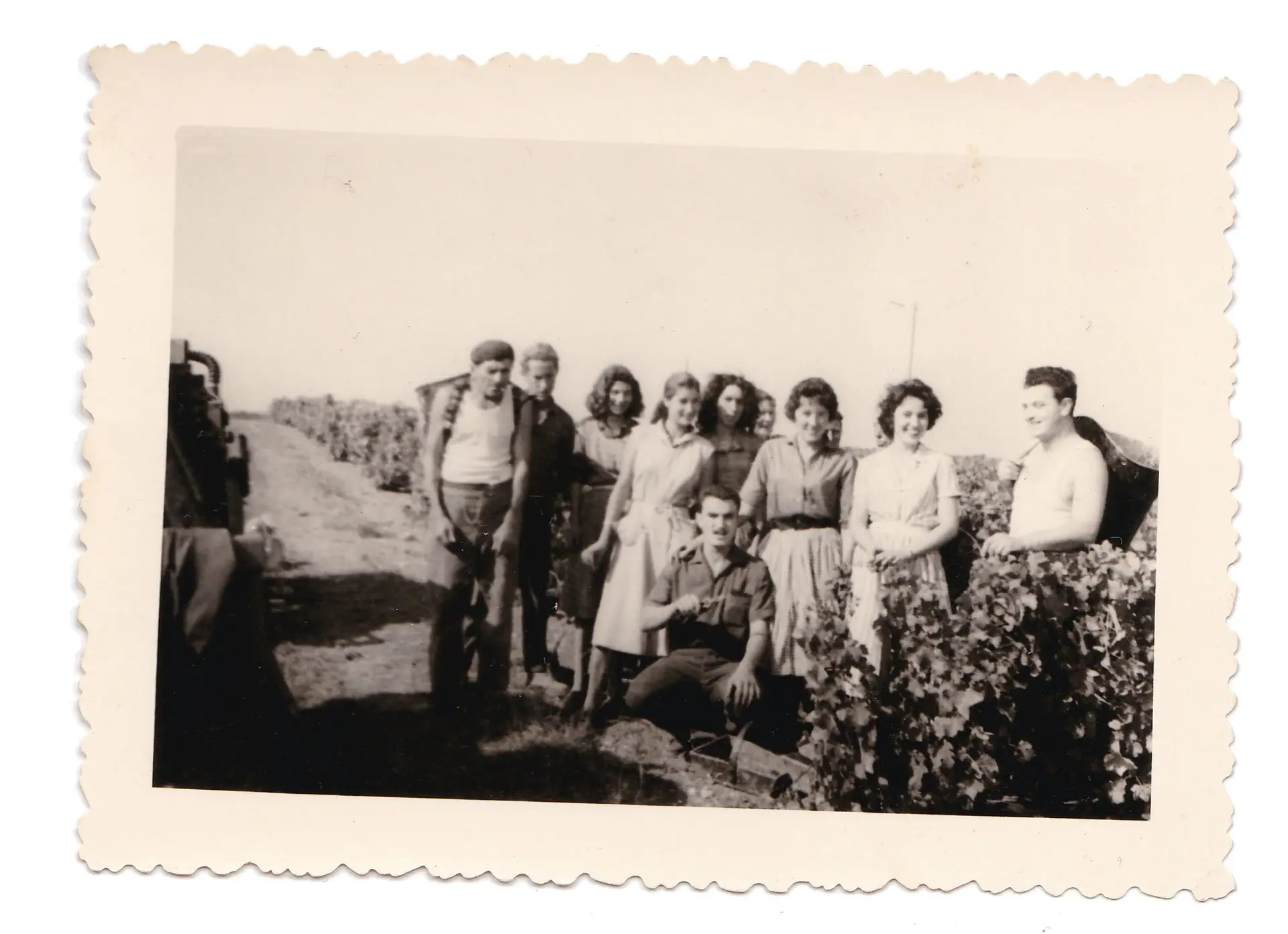 photographie d'archive du Domaine Renaud et fils dans la région du pouilly-fumé